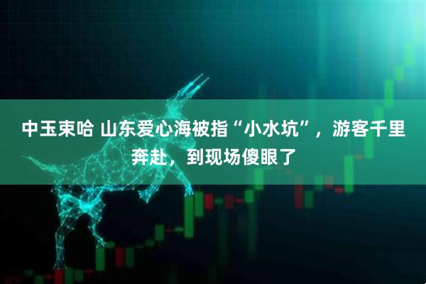 中玉束哈 山东爱心海被指“小水坑”，游客千里奔赴，到现场傻眼了