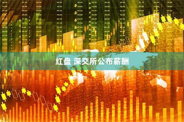 红盘 深交所公布薪酬