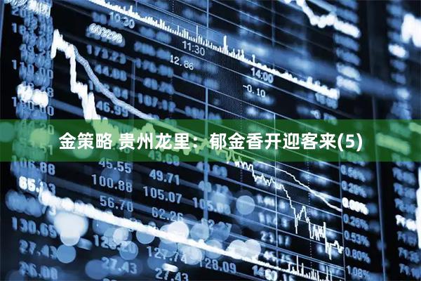 金策略 贵州龙里：郁金香开迎客来(5)