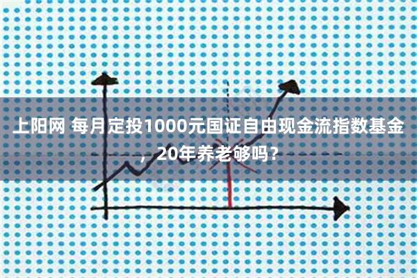 上阳网 每月定投1000元国证自由现金流指数基金，20年养老够吗？