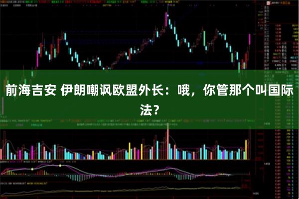前海吉安 伊朗嘲讽欧盟外长：哦，你管那个叫国际法？