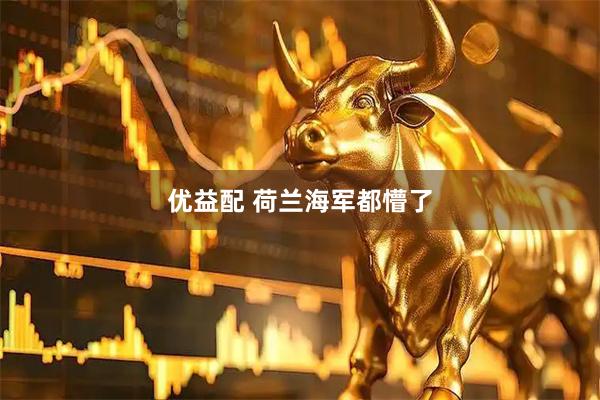 优益配 荷兰海军都懵了