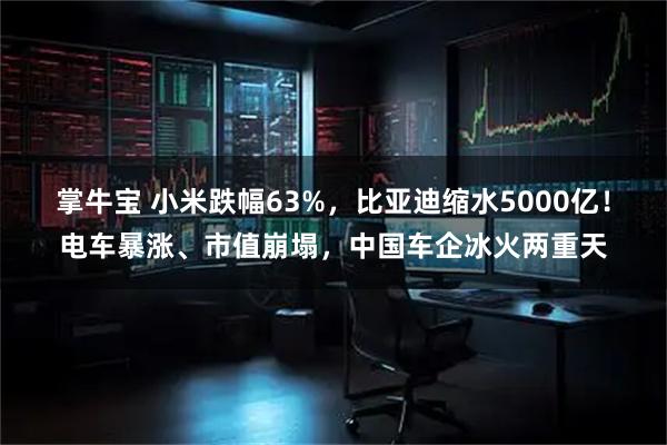 掌牛宝 小米跌幅63%，比亚迪缩水5000亿！电车暴涨、市值崩塌，中国车企冰火两重天