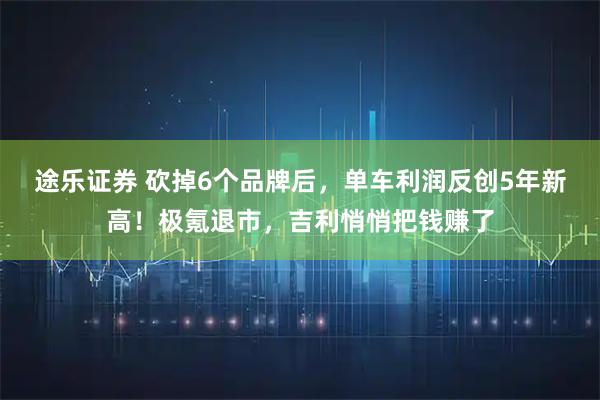 途乐证券 砍掉6个品牌后，单车利润反创5年新高！极氪退市，吉利悄悄把钱赚了