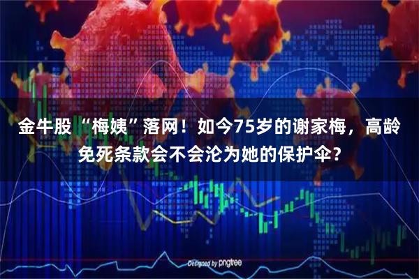 金牛股 “梅姨”落网！如今75岁的谢家梅，高龄免死条款会不会沦为她的保护伞？
